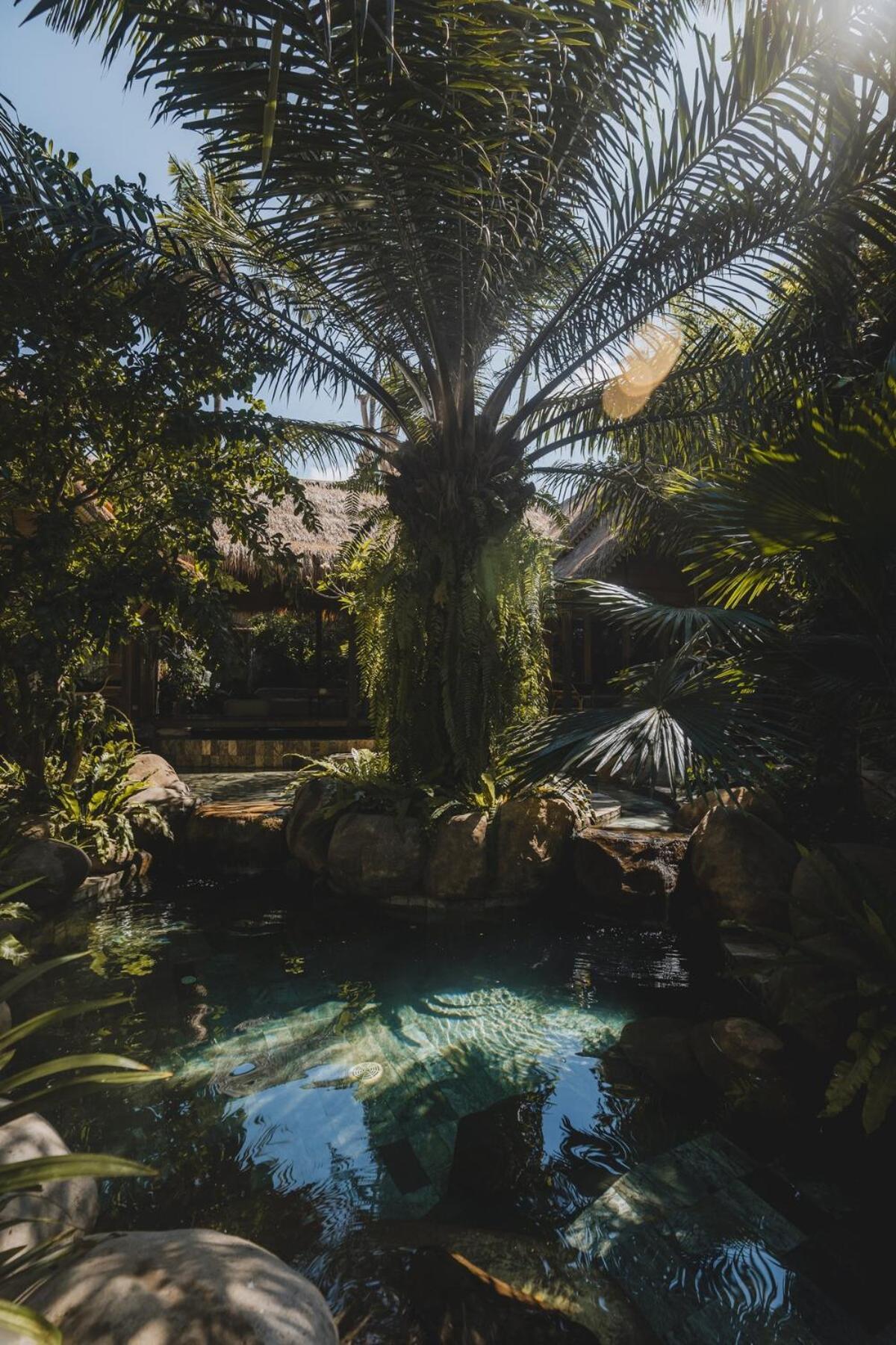 The Seed Bali - Private 8 Bedroom Estate Candidasa Buitenkant foto